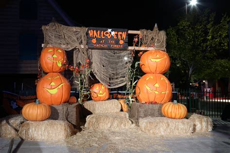 Magical thicket and haunted attractions at opportunity village